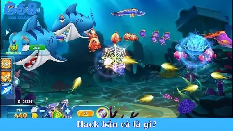 Hack bắn cá là gì?